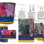 evison_marketing_pack
